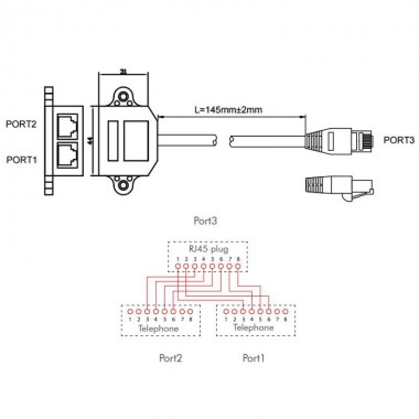 Logilink NP0045 - Duplicador RJ45 Voz, 1 Macho a 2 Hembras