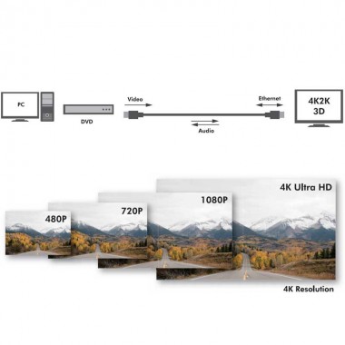 Logilink CHA0010 - Cable HDMI 2.0 Amplificado Alta Velocidad con Ethernet HQ 4K de 10 m