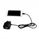 Logillink PA0146 - Cargador USB con cable Micro USB mas puerto USB, 10 W, Negro