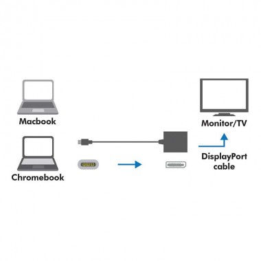 Logilink UA0246A - Conversor USB 3.2 (Gen 1) Tipo C a DisplayPort