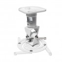 Logilink BP0003 - Soporte de Techo para Video Proyector, 15Kg, 22cm, Blanco | Marlex Conexion